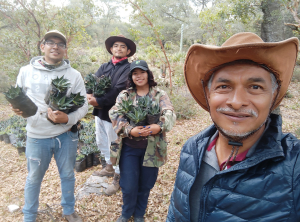 Busca la UAT preservar la gen&eacute;tica de especies de maguey