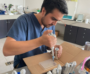 Desarrolla UAT bioinsecticida para combatir plagas que afectan la apicultura