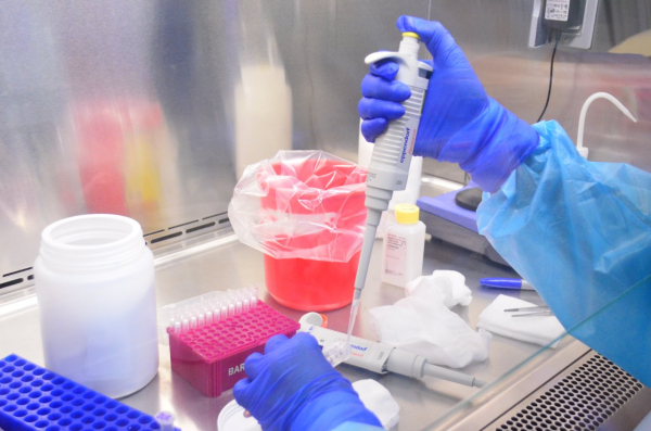 Atender recomendaciones  contra el COVID-19, primordial  para disminuir la pandemia