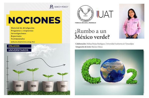 Publica Banxico art&iacute;culo de alumna de la UAT en tema econ&oacute;mico ambiental