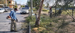Con acciones de limpieza atiende Gobierno de Matamoros &aacute;reas verdes en colonias populares