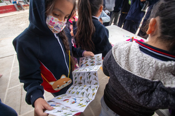 Promueve UAT actividades cient&iacute;ficas para alumnas de escuelas primarias