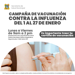 Vac&uacute;nate contra la influenza