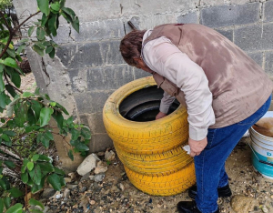 Refuerza SST vigilancia sanitaria para prevenir enfermedades por vector