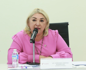 Llegan a Tamaulipas 710 MDP para pavimentaci&oacute;n: Adriana Lozano