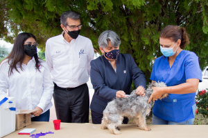 La UAT y Secretar&iacute;a de  Salud estatal celebran el D&iacute;a Mundial de la Rabia