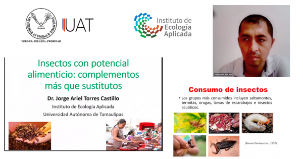 Promueve UAT cultura del  consumo de insectos comestibles
