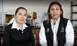 Explora la UAT potencial terap&eacute;utico y biotecnol&oacute;gico de abejas sin aguij&oacute;n