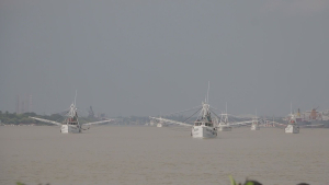 Es flota camaronera tamaulipeca, la m&aacute;s grande del Golfo de M&eacute;xico