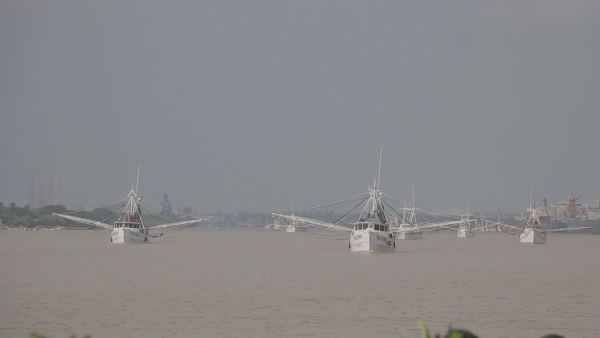 Es flota camaronera tamaulipeca, la m&aacute;s grande del Golfo de M&eacute;xico
