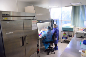 Pide Salud seguir las medidas de  seguridad sanitaria contra COVID-19