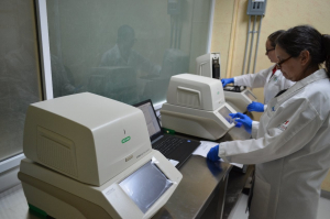 Balance de COVID-19 en Tamaulipas reporta 39 nuevos casos