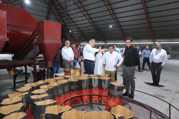 Avanza planta de combustibles limpios en Tamaulipas, con inversi&oacute;n de 6.5 MDD