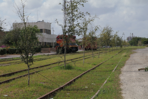 Gobierno Federal autoriz&oacute; el proyecto del Paseo de las Am&eacute;ricas
