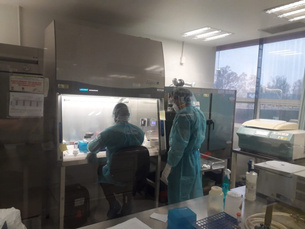 COVID-19 en Tamaulipas  suma 43 nuevos casos