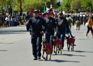 Tamaulipecos reconocen avances en materia de seguridad