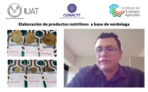 Plantean elaborar productos nutritivos a base de verdolaga