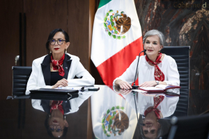 Participa Mar&iacute;a de Villarreal en reuni&oacute;n de trabajo con la nueva titular del Sistema Nacional DIF