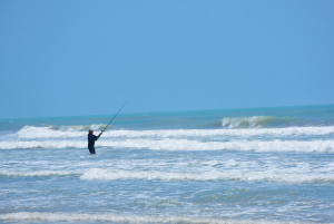Turismo Tamaulipas anuncia  reapertura parcial de playa Tesoro