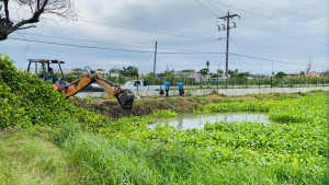 Limpia la JAD hasta 60 toneladas de lirio acu&aacute;tico