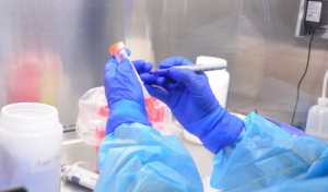 Preocupa aumento de ocupaci&oacute;n hospitalaria por COVID en Tamaulipas: Gloria Molina