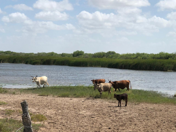 Registran presas bajos niveles, el panorama de sequia se ve complicado